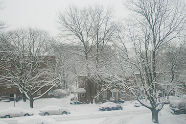 March 2015 snow scene